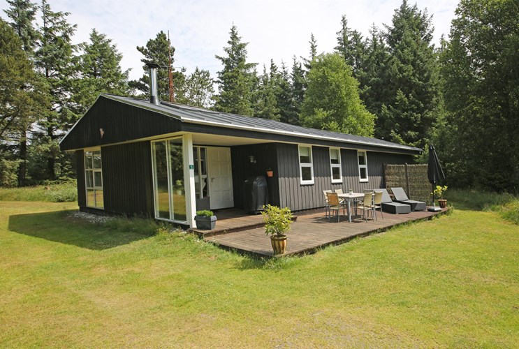 Ferienhaus Dänemark mit 4 Hunden Wählen Sie unter 16 Ferienhäusern